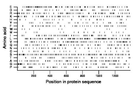 amino acid map