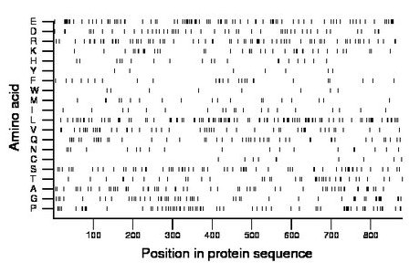 amino acid map