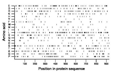 amino acid map