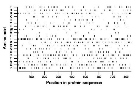 amino acid map