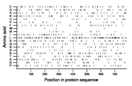 amino acid map