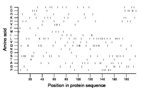 amino acid map