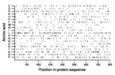 amino acid map