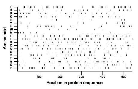 amino acid map