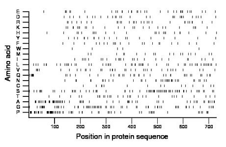 amino acid map