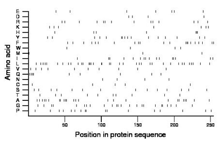 amino acid map