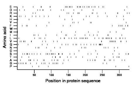 amino acid map