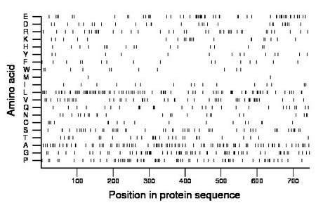 amino acid map