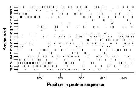 amino acid map