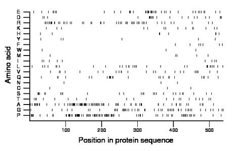 amino acid map