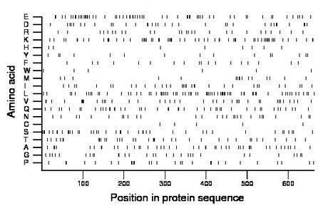 amino acid map