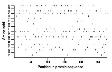 amino acid map