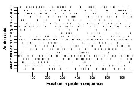 amino acid map