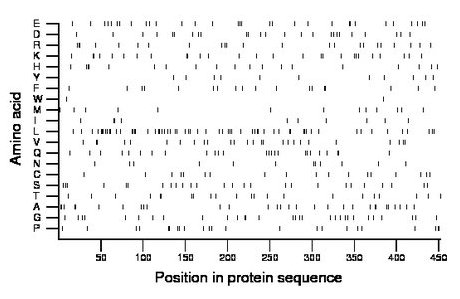 amino acid map