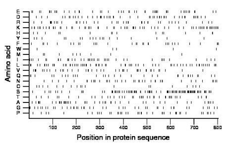 amino acid map