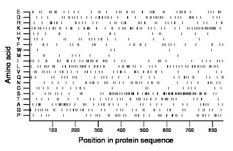 amino acid map