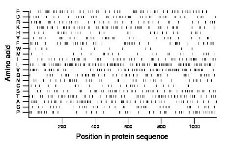 amino acid map