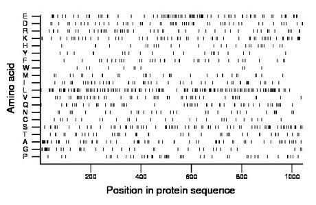 amino acid map