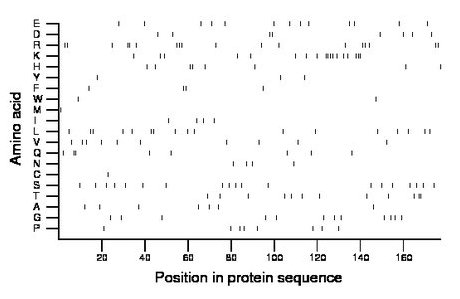 amino acid map