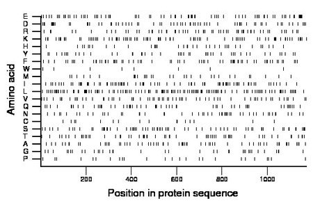 amino acid map