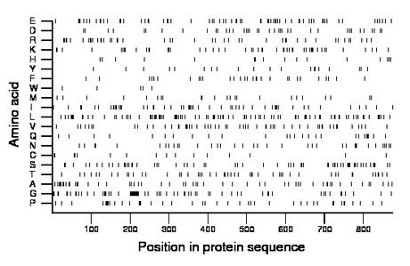 amino acid map