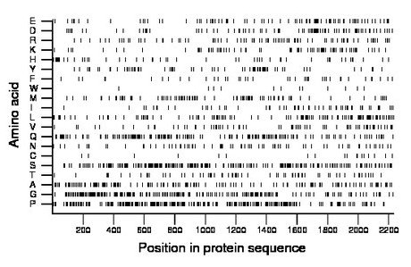 amino acid map