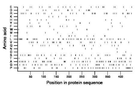 amino acid map