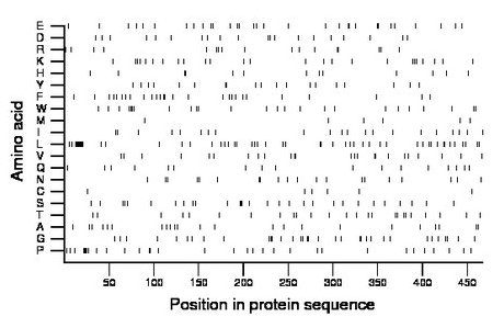 amino acid map