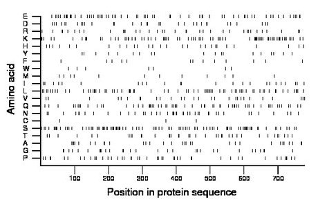 amino acid map