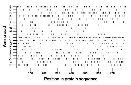 amino acid map