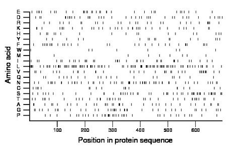 amino acid map