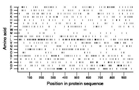 amino acid map