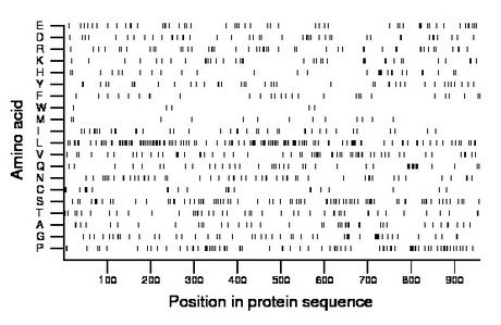 amino acid map