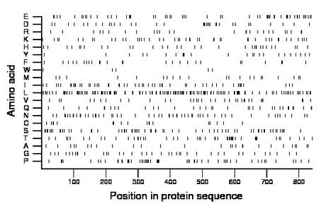 amino acid map