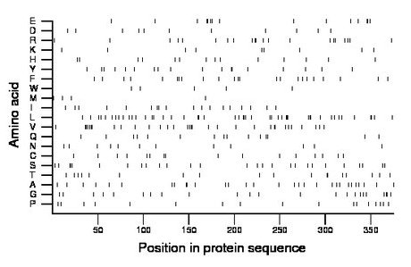 amino acid map