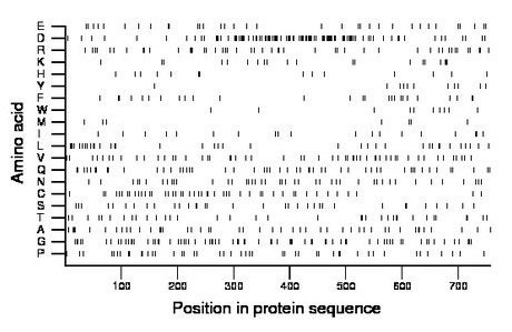 amino acid map