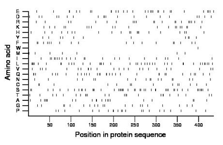 amino acid map