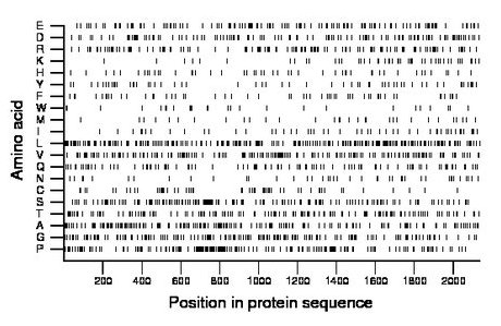 amino acid map