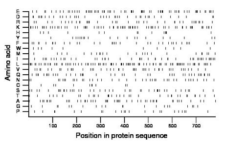 amino acid map