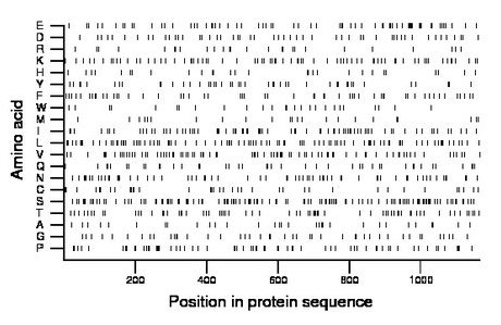 amino acid map