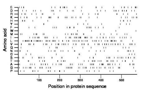 amino acid map