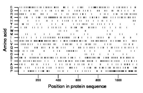 amino acid map