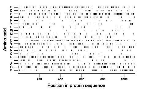 amino acid map