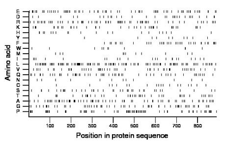 amino acid map