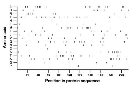 amino acid map