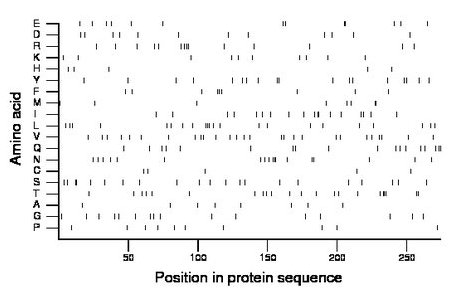 amino acid map