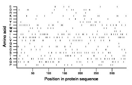 amino acid map