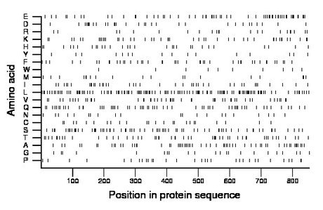 amino acid map