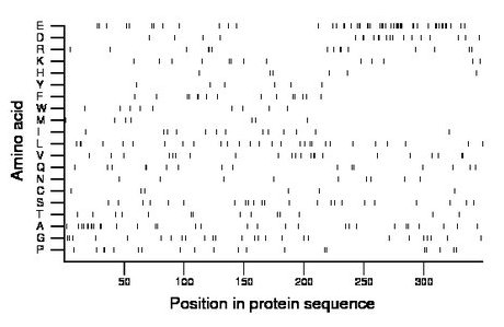 amino acid map