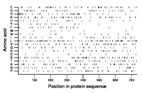 amino acid map